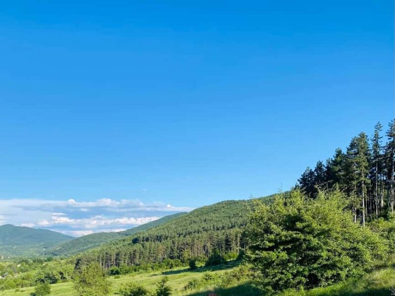 Sofia: The Beauty of the Countryside with a Homemade Lunch - Practical Details and Recommendations