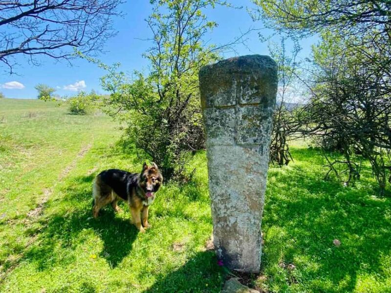Sofia: The Beauty of the Countryside with a Homemade Lunch - Who Will Enjoy This Tour Most