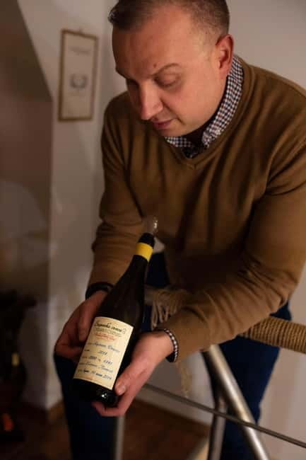 Sofia: Wine & Cheese Tasting Experience - The Experience at Tempus Vini Boutique