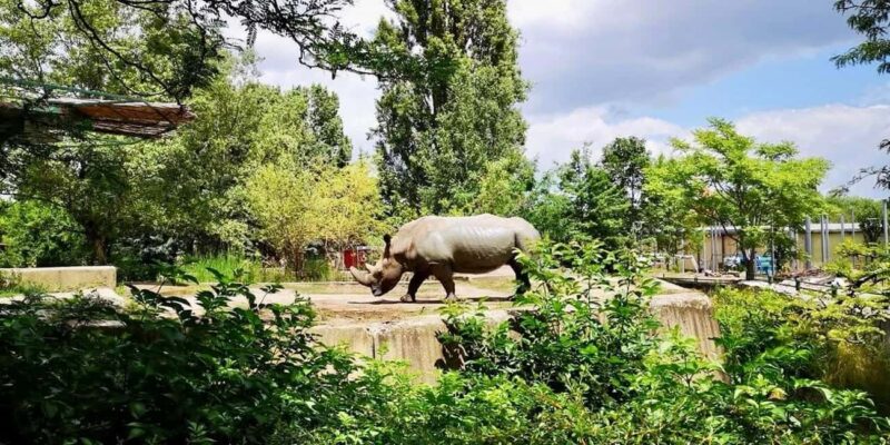 Sofia: Zoo Entry Ticket with Hotel Pickup and Lunch - Key Points