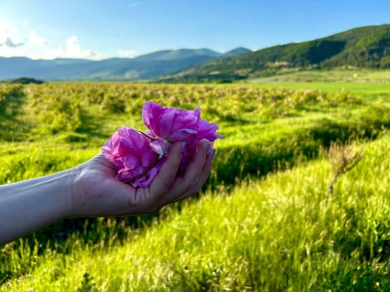 Sofia:The Highlights of Bulgaria - Rose Valley and Buzludzha - Discover Bulgaria’s Cultural and Natural Treasures in One Day