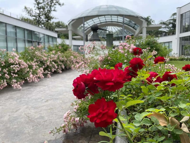 Sofia:The Highlights of Bulgaria - Rose Valley and Buzludzha - Best Time to Experience the Tour