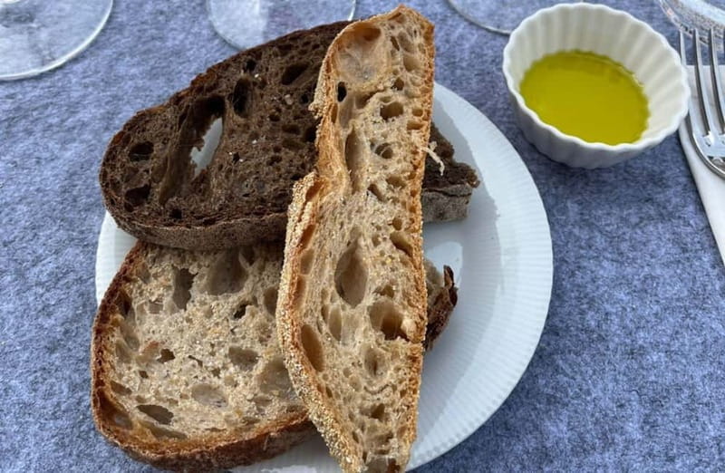 Soiana: Vineyard & Cellar Tour with Wine Tasting near Pisa - Explore a Family-Led Vineyard and Cellar Near Pisa