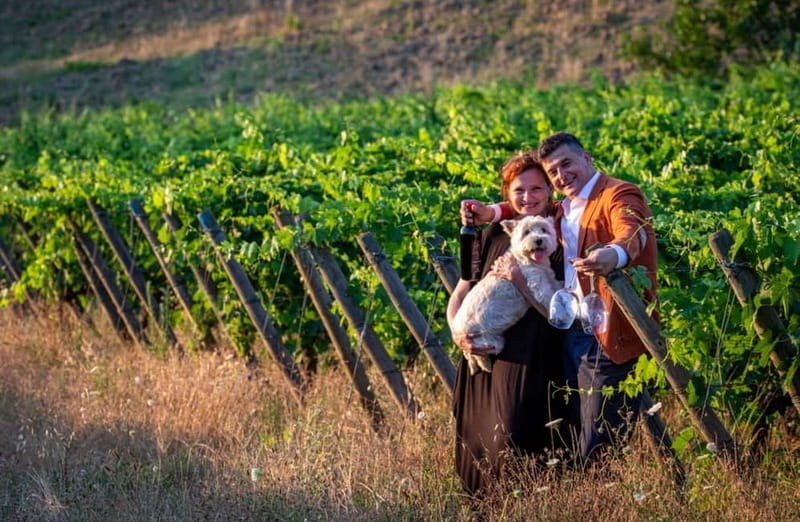 Soiana: Vineyard & Cellar Tour with Wine Tasting near Pisa - Key Points