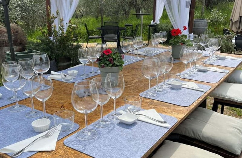 Soiana: Vineyard & Cellar Tour with Wine Tasting near Pisa - Tasting Five Distinct Wines