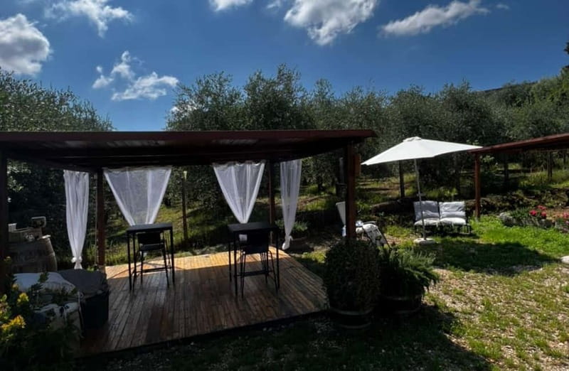 Soiana: Vineyard & Cellar Tour with Wine Tasting near Pisa - The Role of the Guides and Personal Stories