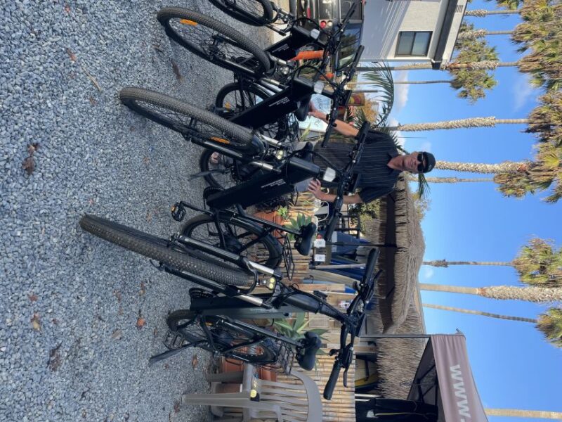 Solana Beach: E-Bike Tour to Torrey Pines or North Coast - Highlights of the Landmarks and Beaches