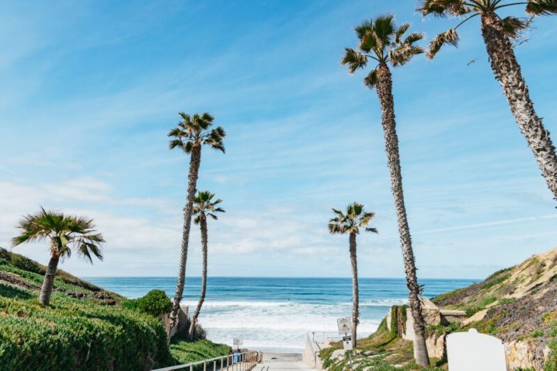 Solana Beach: Private Surf Lesson with Board and Wetsuit - Key Points