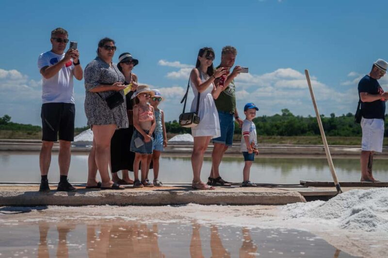 Solana Nin Salt Fields Audio Guide Tour - Discovering Local Wildlife and Vegetation