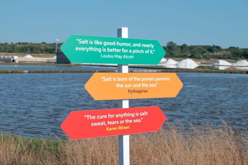 Solana Nin Salt Fields Audio Guide Tour - Who Will Appreciate the Solana Nin Audio Tour?