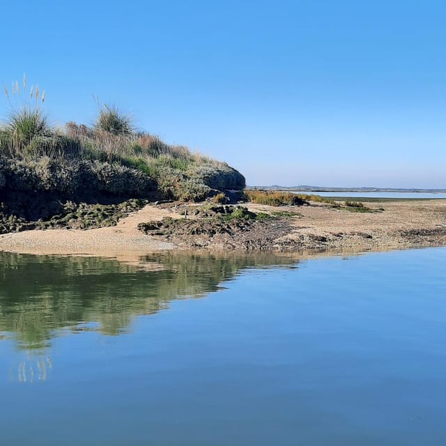 Solar Boat Tour along the Salgado da Ria de Aveiro - Key Points