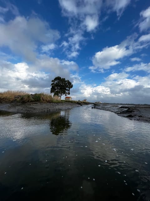 Solar Boat Tour along the Salgado da Ria de Aveiro - The Scenic Routes and Landmarks of the Ria de Aveiro