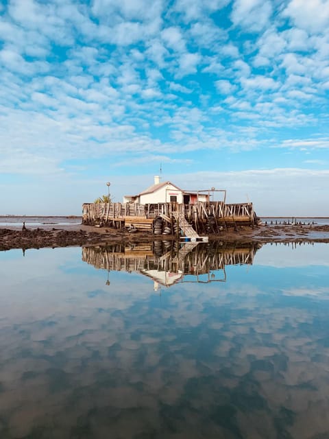 Solar Boat Tour along the Salgado da Ria de Aveiro - Practical Details: Meeting Point, Group Size, and What to Bring
