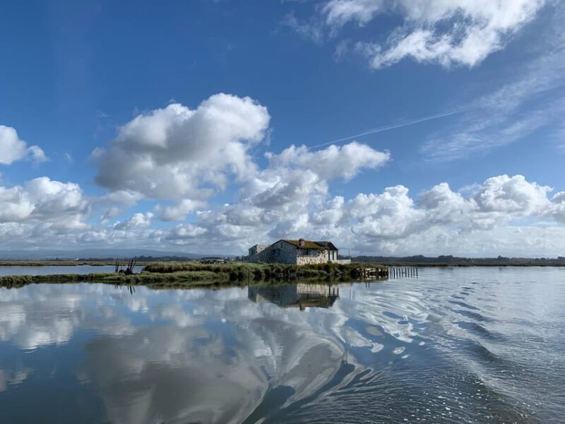 Solar Boat Tour along the Salgado da Ria de Aveiro - Final Thoughts on the Solar Boat Tour in Aveiro