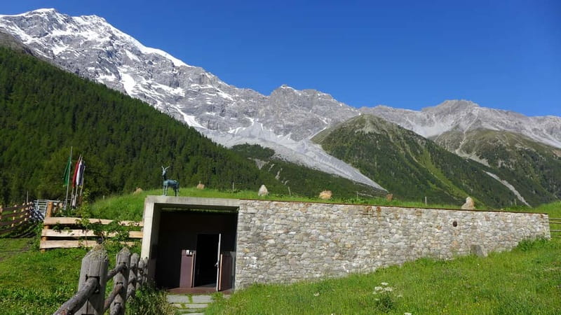 Solda: Messner Mountain Museum Ortles Entry Ticket - How to Access the Museum