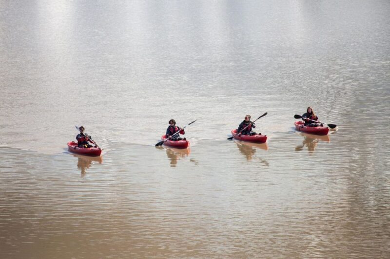 Sólheimajökull: Guided Kayaking Tour on the Glacier Lagoon - Considering Safety and Accessibility