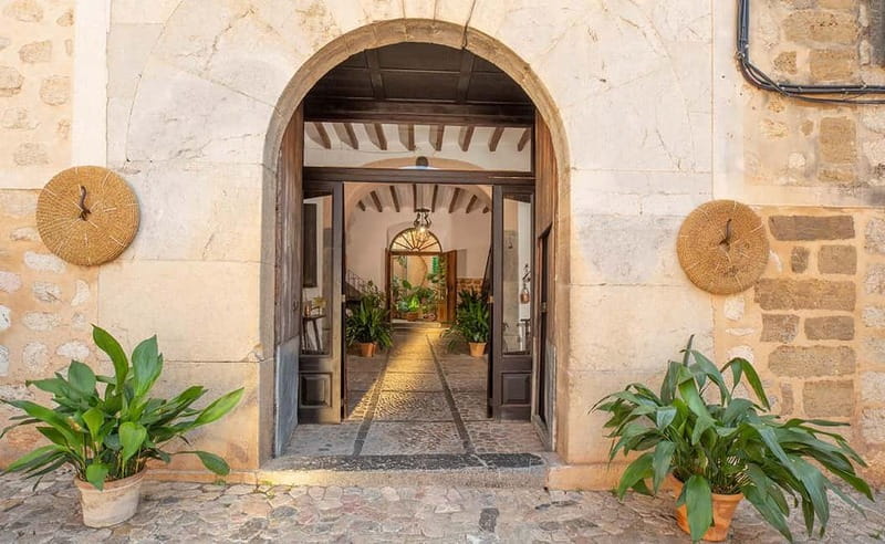 Sóller: Olive Oil Guided Tour and Tasting at Can Det Estate - Visiting the Historic Can Det Estate in Sóller