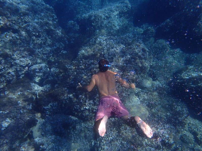 Soller: Sa Calobra & Cala Tuent Speedboat Tour - Mallorca’s North Coast in a Speedboat: What You Can Expect