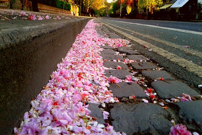 Solo Travellers- university or Harry Potter private group tour - Final Thoughts on the Oxford Solo and Harry Potter Private Tour