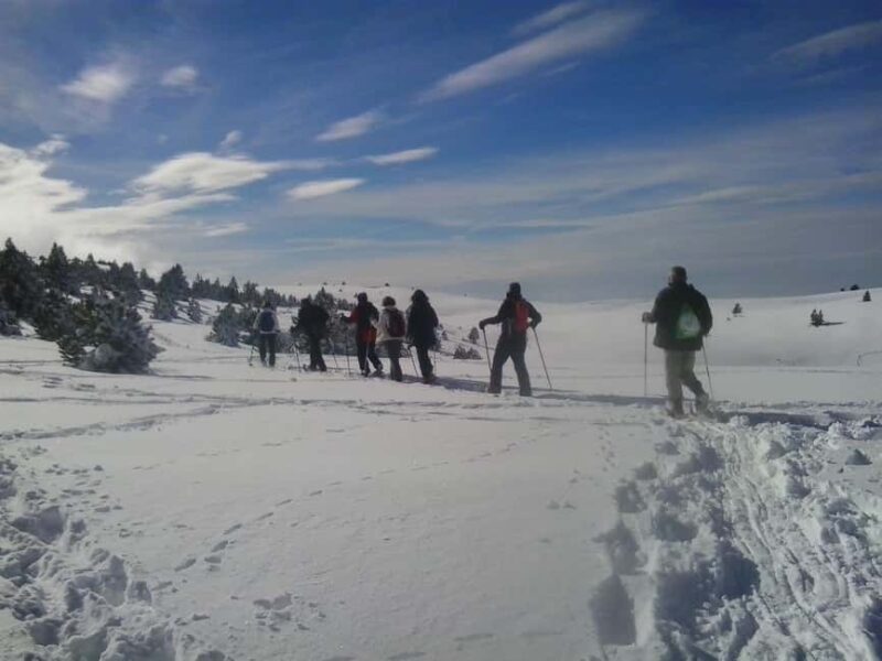 Solsonès: Guided Snowshoe Hike in Port del Comte - Discover Port del Comte’s Winter Landscapes with Expert Guidance