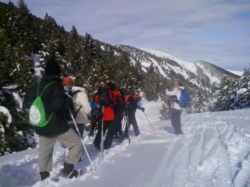 Solsonès: Guided Snowshoe Hike in Port del Comte - What to Bring for Comfort and Warmth