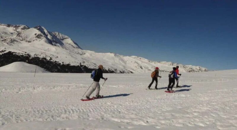 Solsonès: Guided Snowshoe Hike in Port del Comte - Summary of What Makes This Tour Stand Out