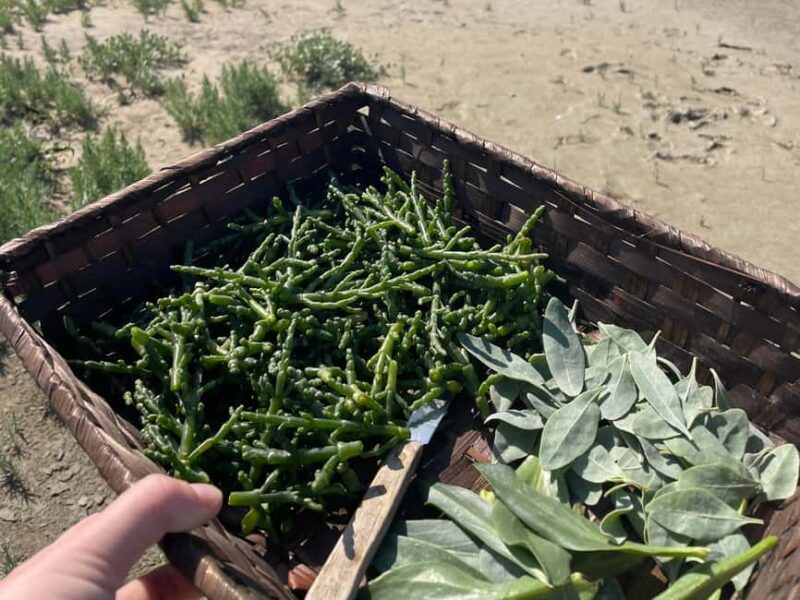 Somme Bay: Wine Tasting at Home with Hélène, Sommelier - Customizable Food and Drink Pairings