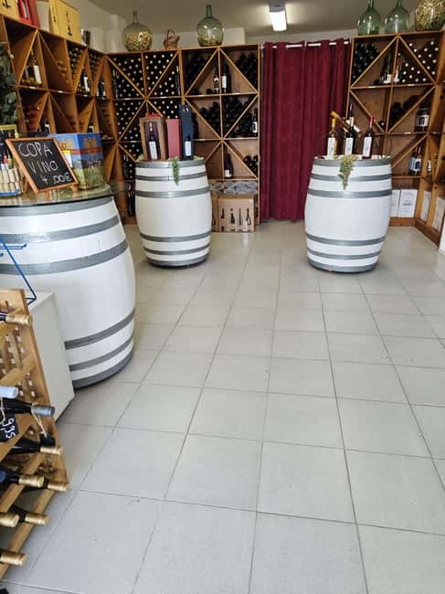 Son Cavaller - Tasting wines from Mallorca - Wine shop Cala Mandia - The Tasting of Up to 10 Mallorca Wines