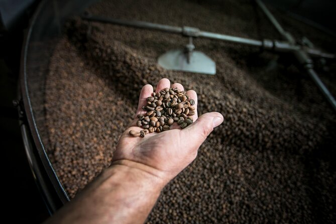 Song of the Sea: Fish, Seafood and Tradition in Lisbons Port Zone - Jardim 9 de Abril: Overlooking Lisbon’s Sea Bounty