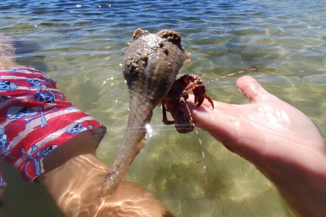 Sonnys Boat Tours Full Day Sand Bar Adventure Englewood, Florida - Boca Grande Sand Bar: Sun, Sand, and Snorkeling