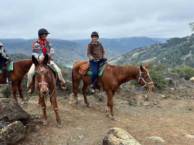 Sonoma County: Wine Country Horseback Riding Adventure - Key Points