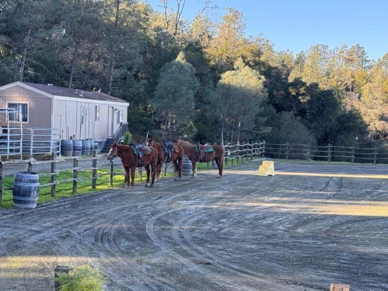 Sonoma County: Wine Country Horseback Riding Adventure - Starting Point and Access to Sonoma County’s Wilderness