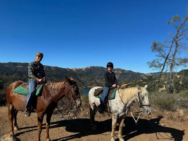 Sonoma County: Wine Country Horseback Riding Adventure - Tour Flexibility: Booking and Cancellation Policies
