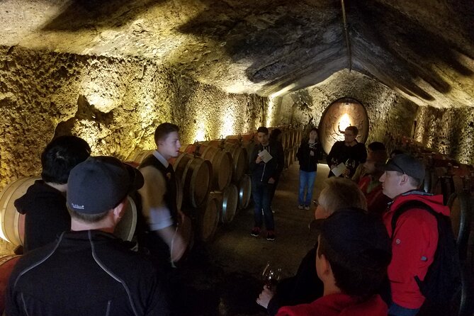 Sonoma County Wine Segway Tour - Cheese and Olive Oil Tasting at Vella Cheese Company