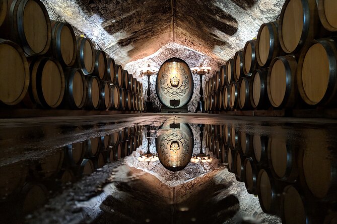 Sonoma County Wine Segway Tour - The Experience: Guides, Safety, and Personal Attention