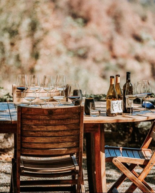 Sonoma: Explore Natural Wineries with a Local Sommelière - Learning About Sustainable and Organic Farming Methods in Sonoma