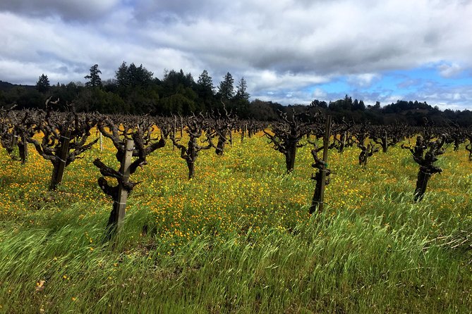 Sonoma & Healdsburg Wine Tours - Logistics and Convenience