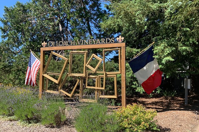 Sonoma or Napa -8hr- Private Wine Tour with Concierge Service - The Experience of the Drivers and Guides