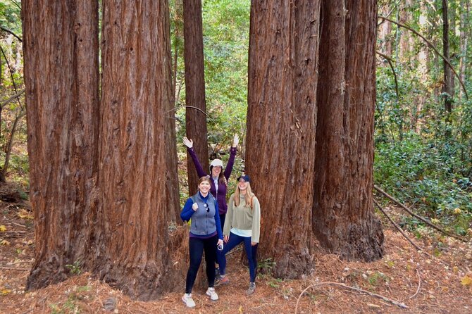 Sonoma Private Hike and Wine Tour - Lunch and Refreshments During the Day