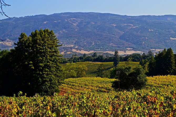 Sonoma Private Hike and Wine Tour - Physical Expectations and Accessibility
