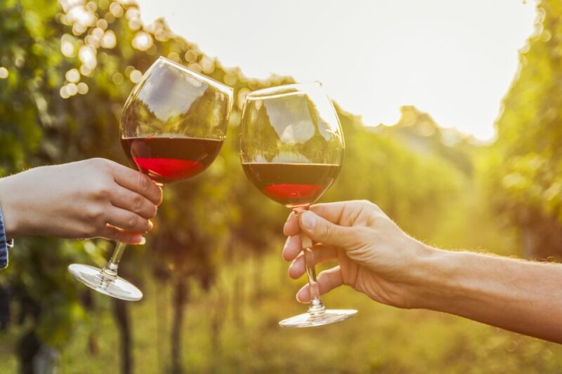 Sonoma Valley: Guided Winery Tour with Picnic Lunch - The Picnic Lunch at a Boutique Winery