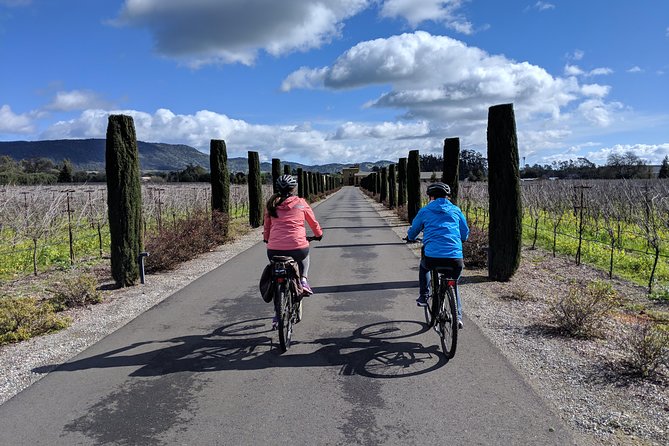 Sonoma Valley Pedal Assist Bike Tour with Lunch - A Gourmet Picnic Lunch in Sonoma’s Countryside