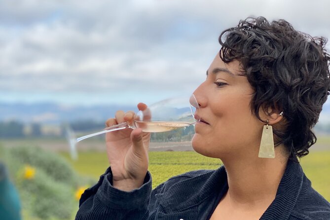 Sonoma Valley Sidecar Wine tours - The Expert Guides and Their Role in the Experience