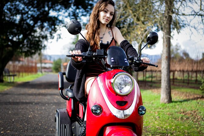 Sonoma Wine Country Electric Trike Tour - 3 hours - Cheese Sampling at Vella Cheese Company