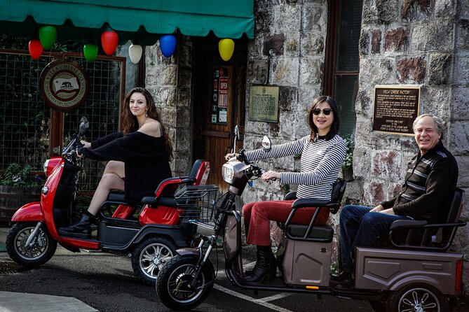 Sonoma Wine Country Electric Trike Tour - 3 hours - The Guide’s Role and Tour Atmosphere