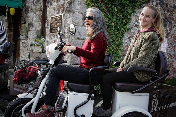 Sonoma Wine Country Electric Trike Tour - 3 hours - Practical Details and Group Size