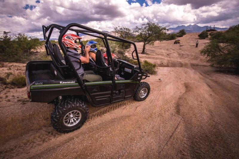 Sonoran Desert: Guided 2-Hour UTV Adventure - What Native Flora and Fauna Can Be Seen?