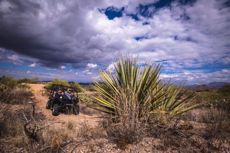 Sonoran Desert: Guided 2-Hour UTV Adventure - Why This UTV Tour Stands Out in the Desert Adventure Market