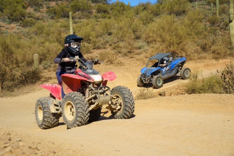 Sonoran Desert: Guided UTV or ATV Desert Tour - What to Expect on the UTV or ATV Desert Adventure