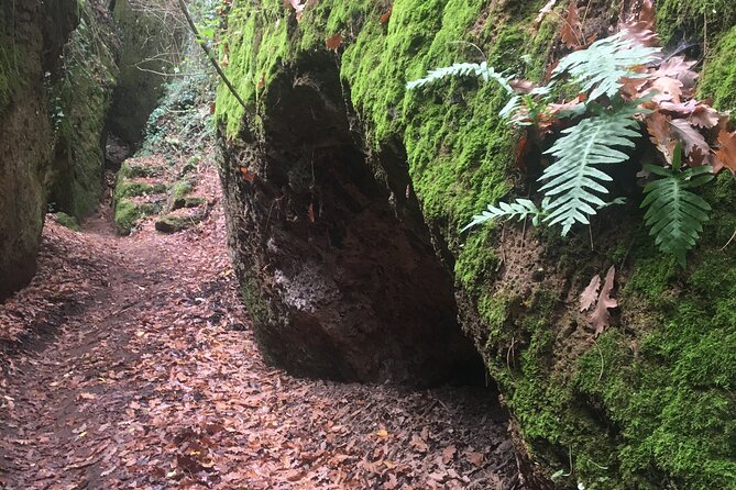 Sorano and its wonders, The Vie Cave and wine cellars - Practical Details and Logistics for the Tour